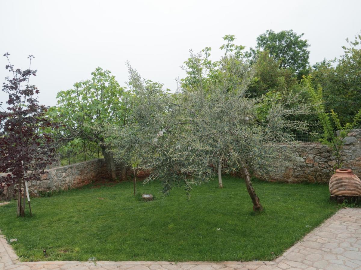 Vintage Stone-Built Country Cottage In Richea Kouloureika 外观 照片